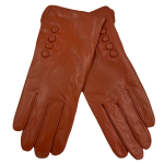koral 2.png